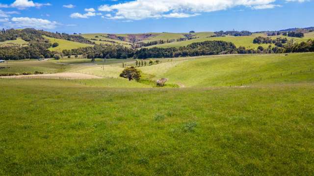 219 Tapu Bush Road Whangaripo_3