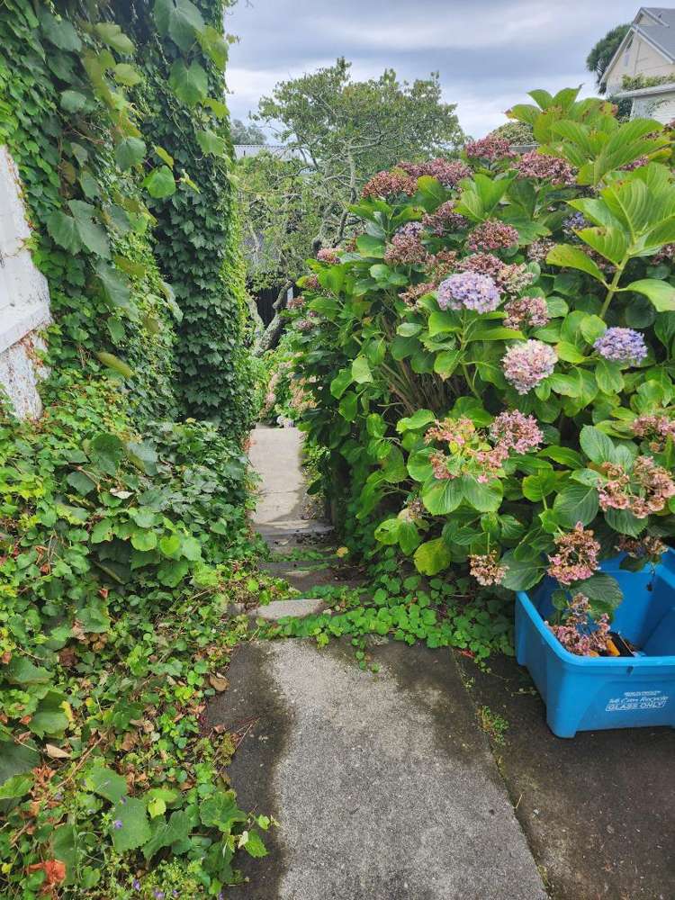 1/28a Bayly Road Moturoa_10