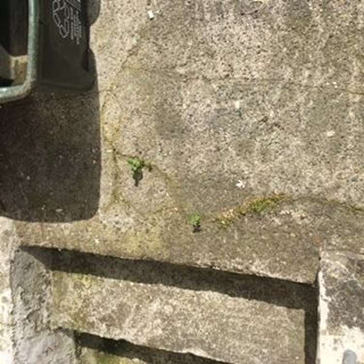 33 Station Street Tirau_70