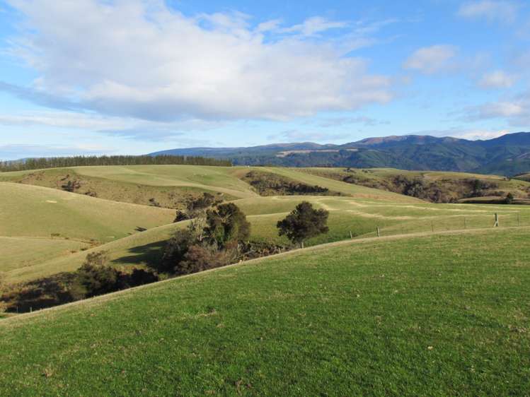 168 Remarkable Road Lawrence_8