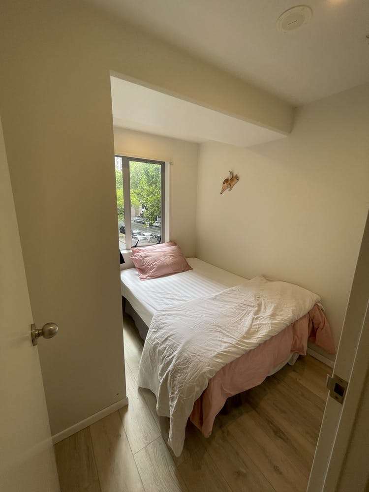 113 Vincent Street Howick_3