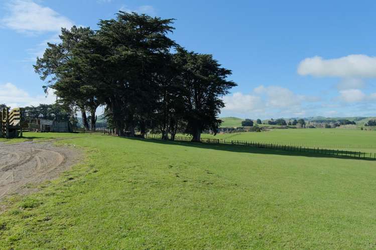 63 Hamilton Road Dannevirke_7