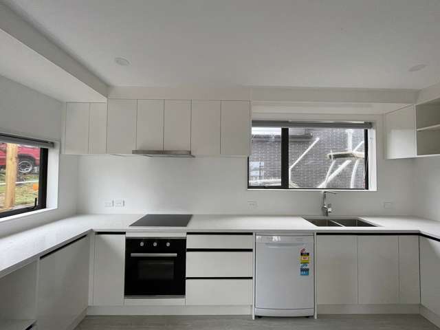40A Boyce Avenue Mount Roskill_1