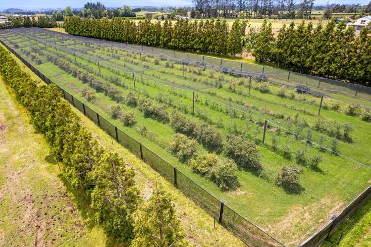 438B Alfred Road Egmont Village_42