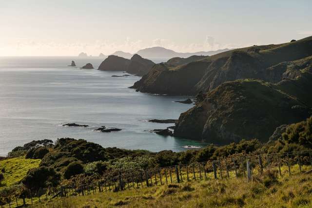 Lot 4 Mataka Station Bay Of Islands_4