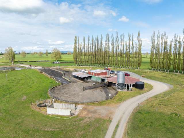 131 School Road Te Aroha_4