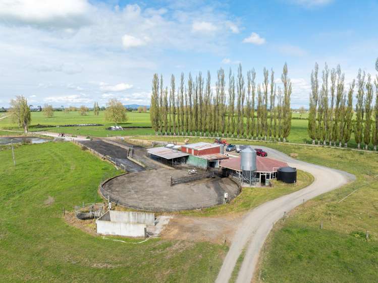 131 School Road Te Aroha_4