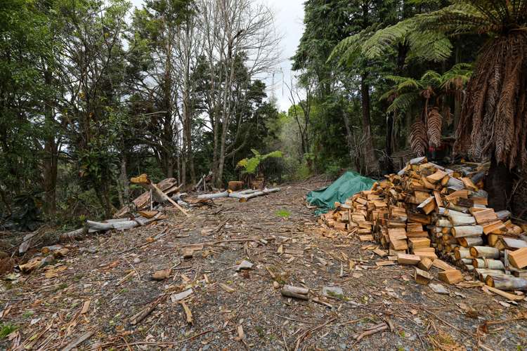 277 Waitea Branch Road Kakahi_16