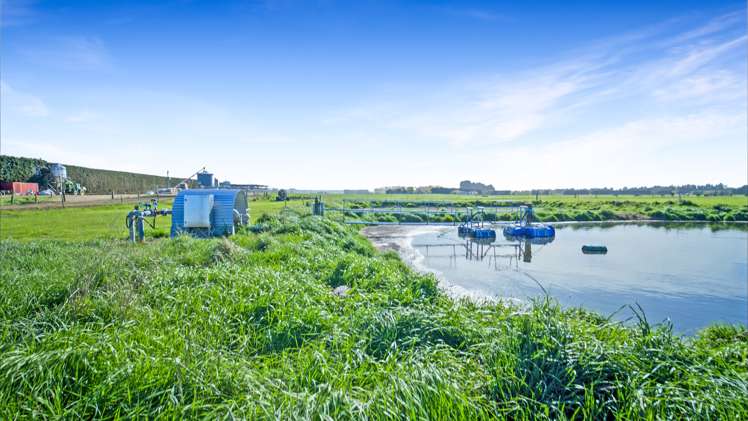 120 Steward Road Richmond_10