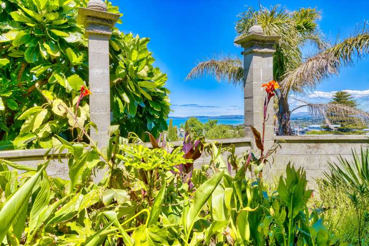 26 Thompson Road Bluff Hill_6