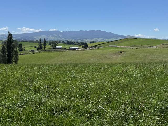 Lot 4 Pokuru Road Rd 3 Te Awamutu_4