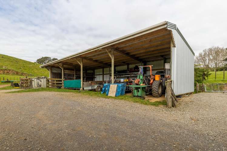 79 Dorset Road Hillsborough_31