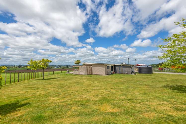 47 Viles Road Bulls_21