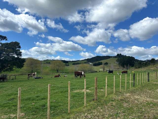 Puketona Road Paihia_4