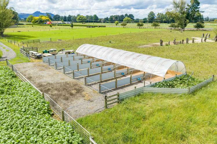 737 Tauwhare Road Tauwhare_7