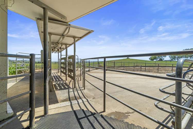 458 Rotowaro Road Huntly_25