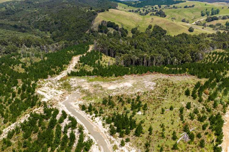 Lot/12 Arcadia Road Paparoa_4