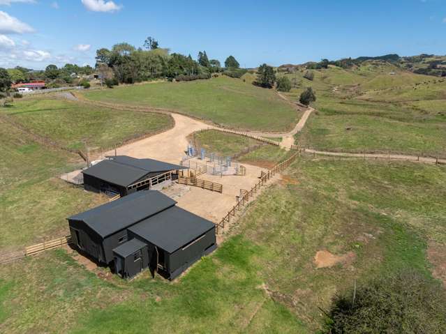 356 Klondyke Road Onewhero_2