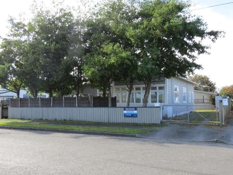 25 Reeve Street Levin_0