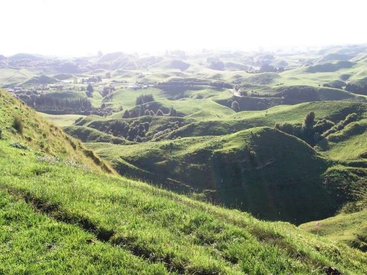 446 Stanley Road Te Popo_57