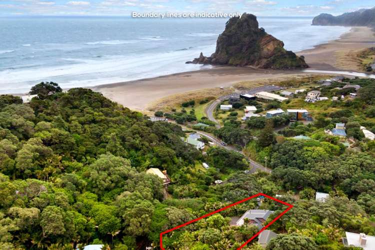 7 Sylvan Glade Piha_18