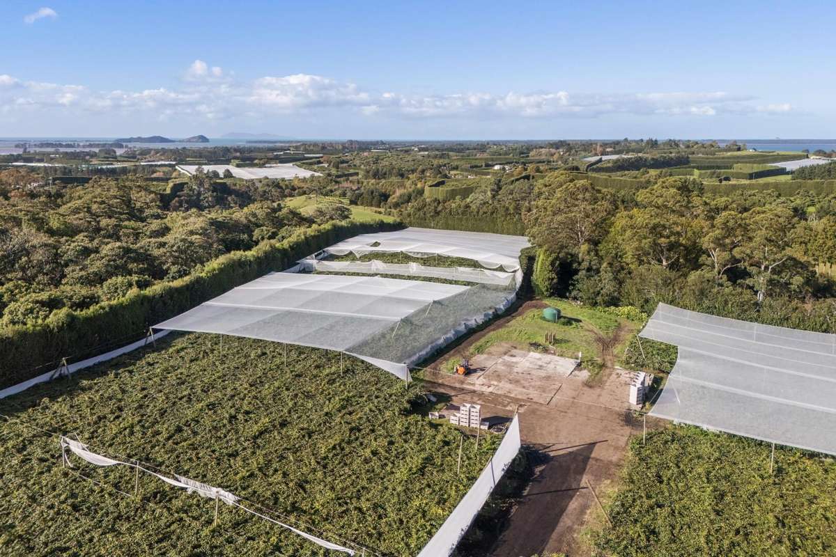 416 State Highway 2_2