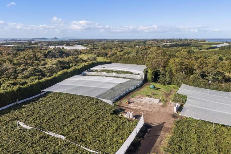 416 State Highway 2 Katikati_6