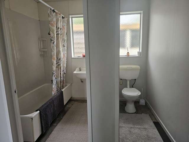 23 Grenville Street Levin_4