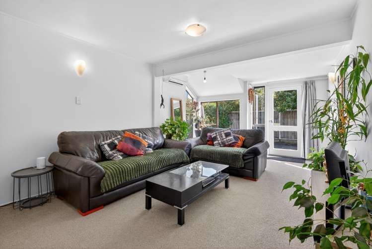 3B Pukatea Street Eastbourne_8