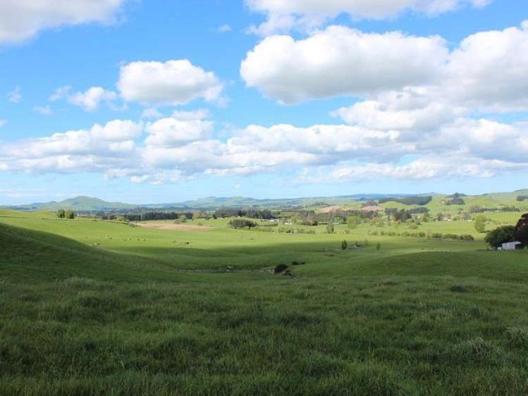 1305 State Highway 2 Waipawa_4