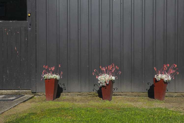 17 Glendon Place Otorohanga_13