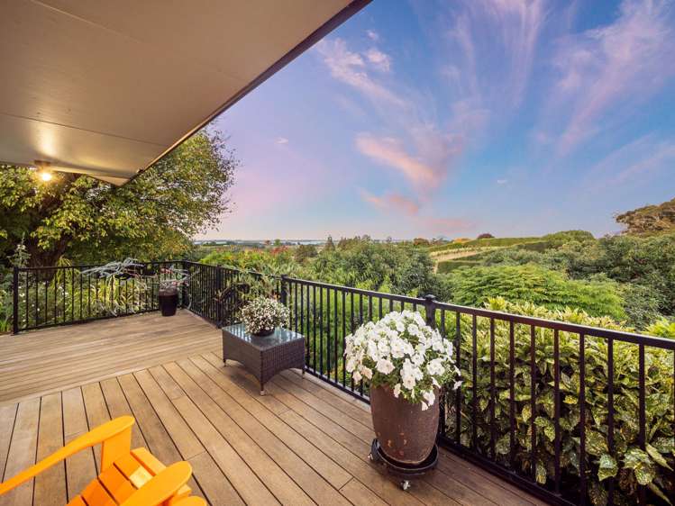 313 Youngson Road Whakamarama_32