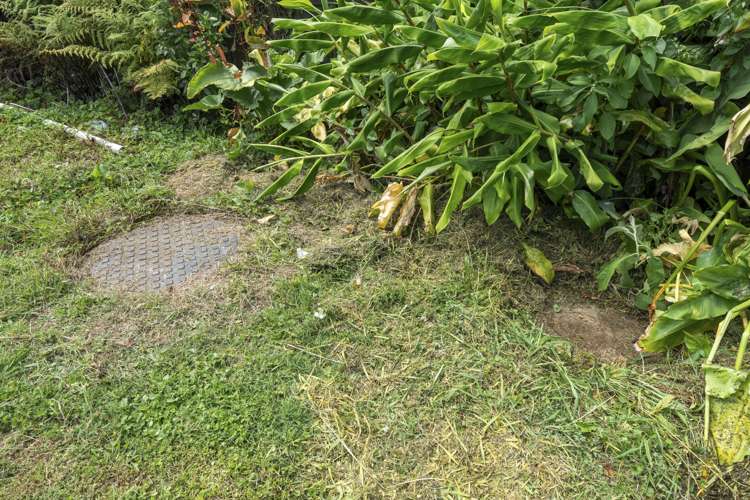 136 White Swan Road Mount Roskill_9