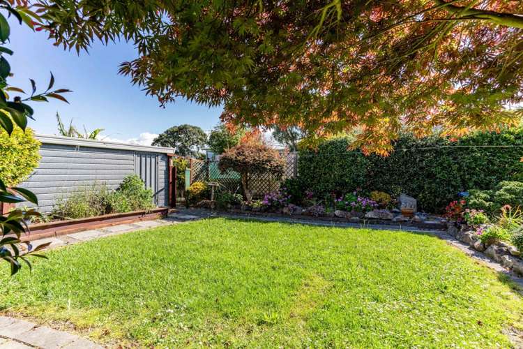 13 Cullen Street Mangawhai Heads_9