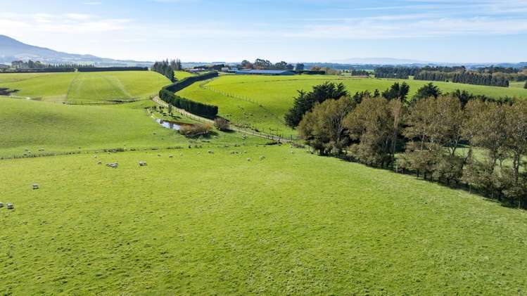 305C Waimumu Road Waimumu_8