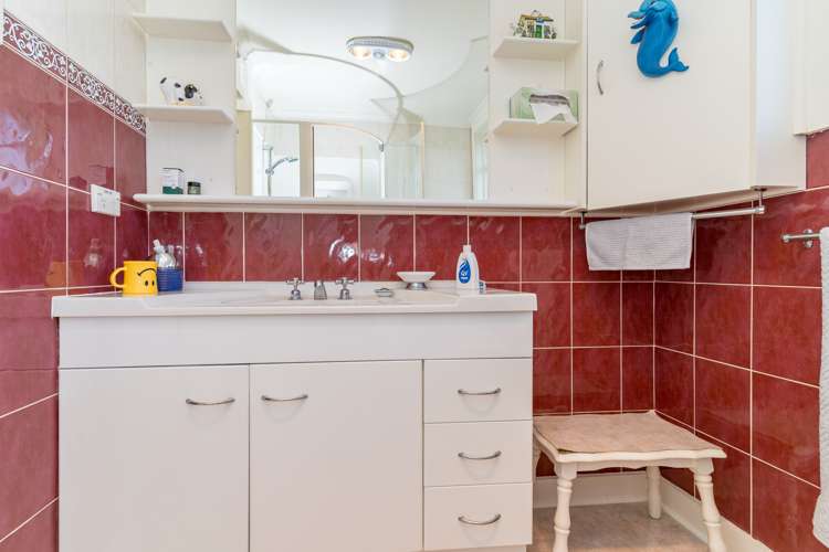 21 Hillary Street Liberton_33