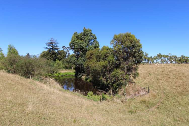 215 Fergusson Road Halcombe_11