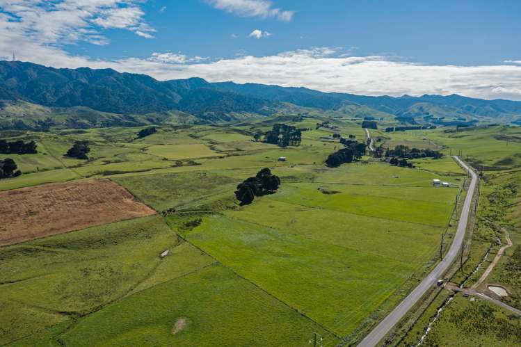 465 Pinfold Road Woodville_3