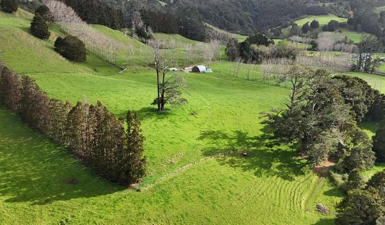 1149 Whangaripo Valley Road Whangaripo_11