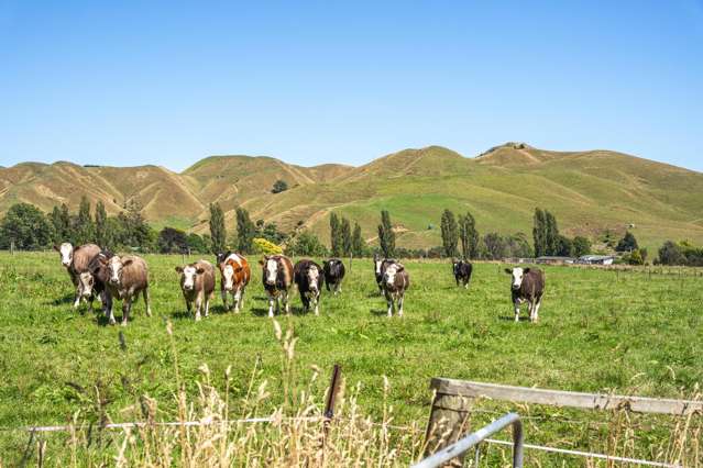 650 Waitohu Valley Road Manakau_2