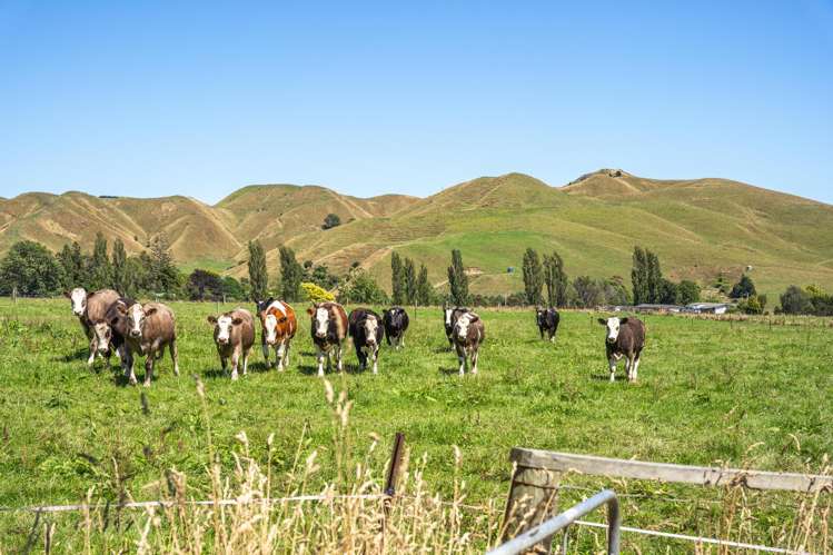 650 Waitohu Valley Road Manakau_2