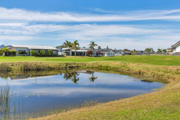 12 Hoihere Drive (Pvt) One Tree Point_21