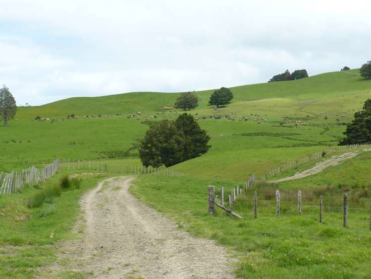 101 Pullin Road Ruatangata_5