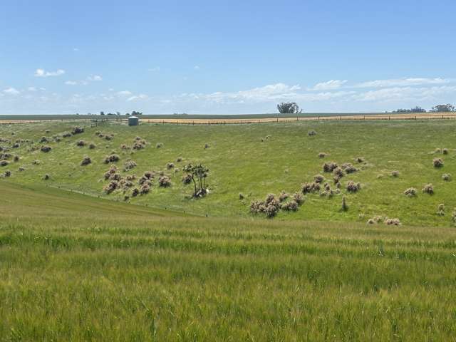 Lot 5 Hook School Road Makikihi_2