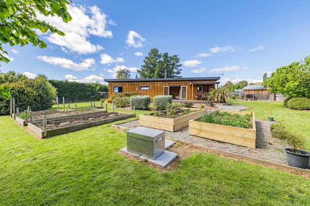 Eco-Friendly Retreat with Room to Grow