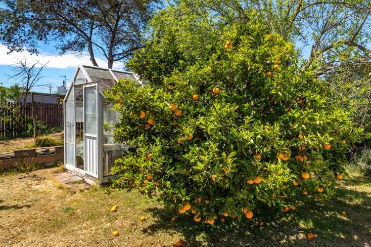 17 Karina Crescent Redwoodtown_21