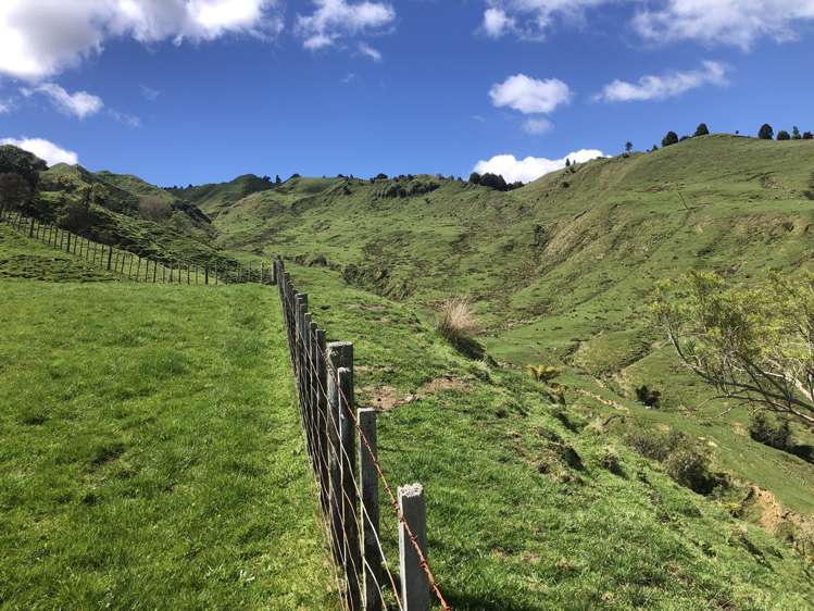 1041 Paparoa Road Whanganui National Park_10