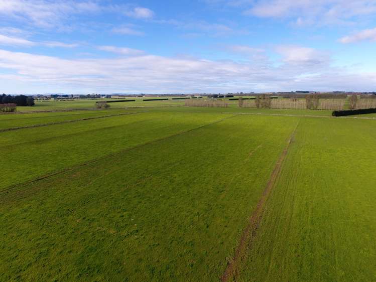 31 Waikouro Wairio Road Otautau_8