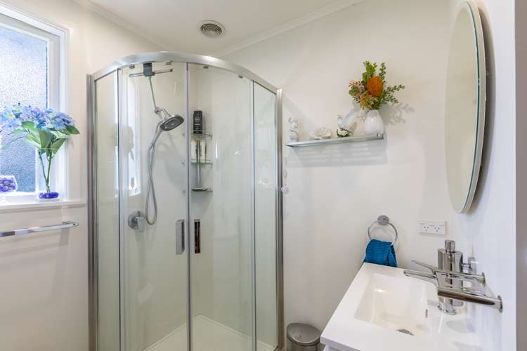 91 Geddis Avenue Maraenui_12