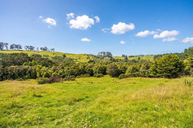 47 Witheford Road Wellsford_9